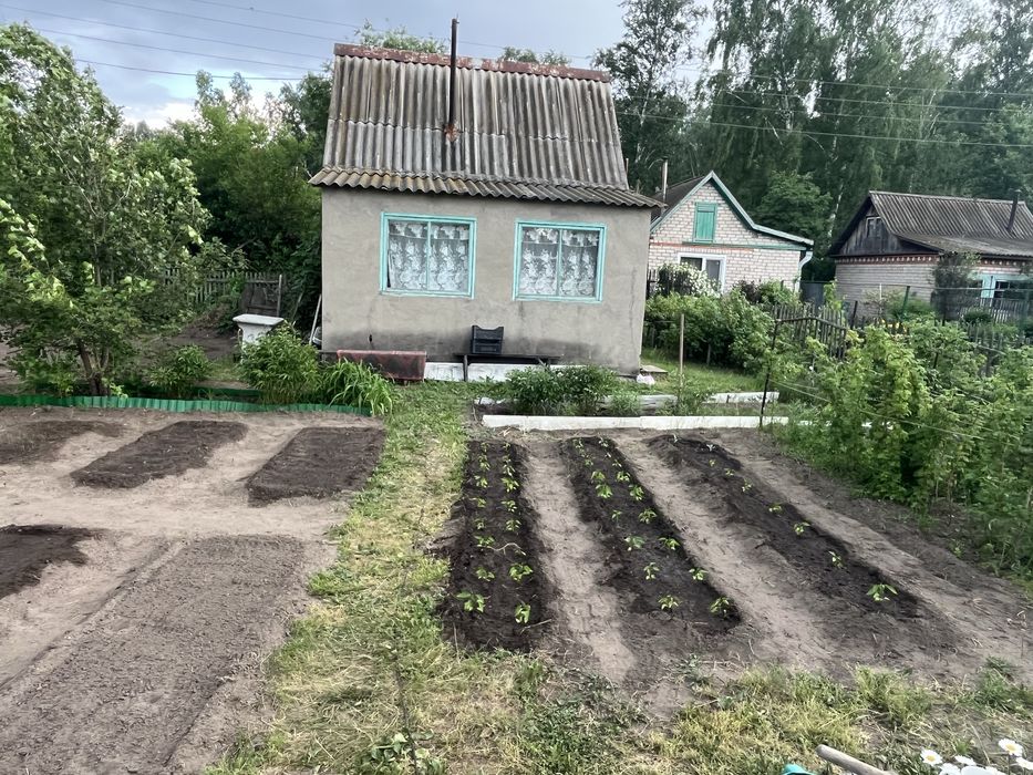 Срочно продам дачу на Белом