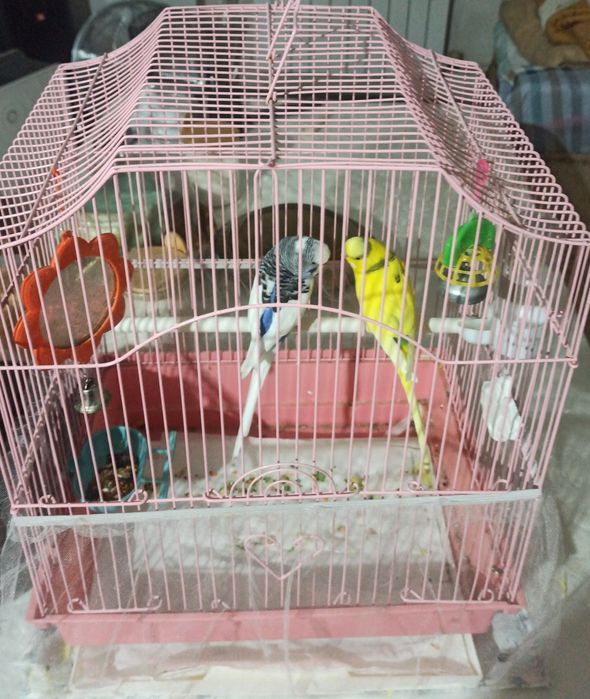 Продам среднюю клетку для птиц за 5000тг
