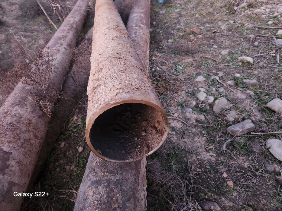 Хархил турдаги Темир оламиз