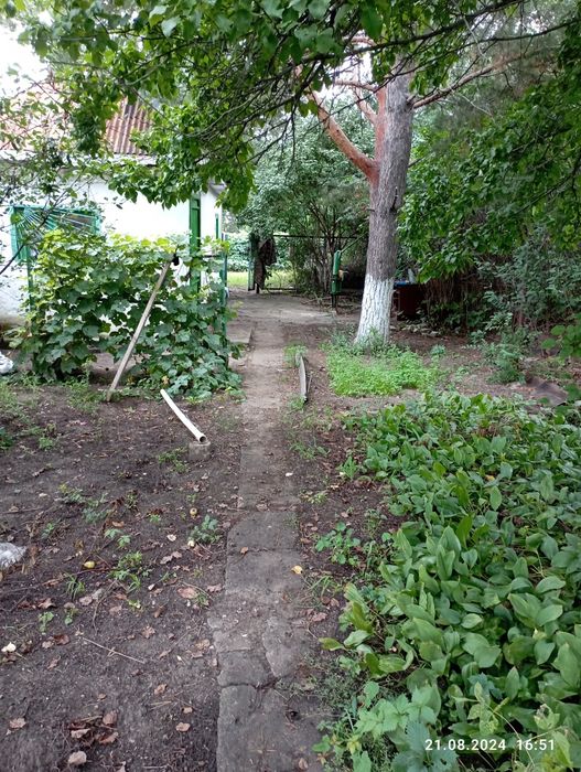 Продам дачу  срочно