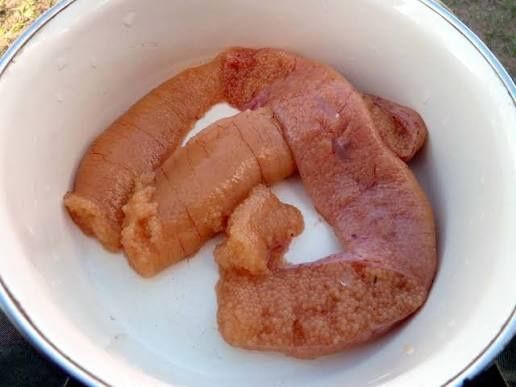 Принимаем свежую икру Щуки