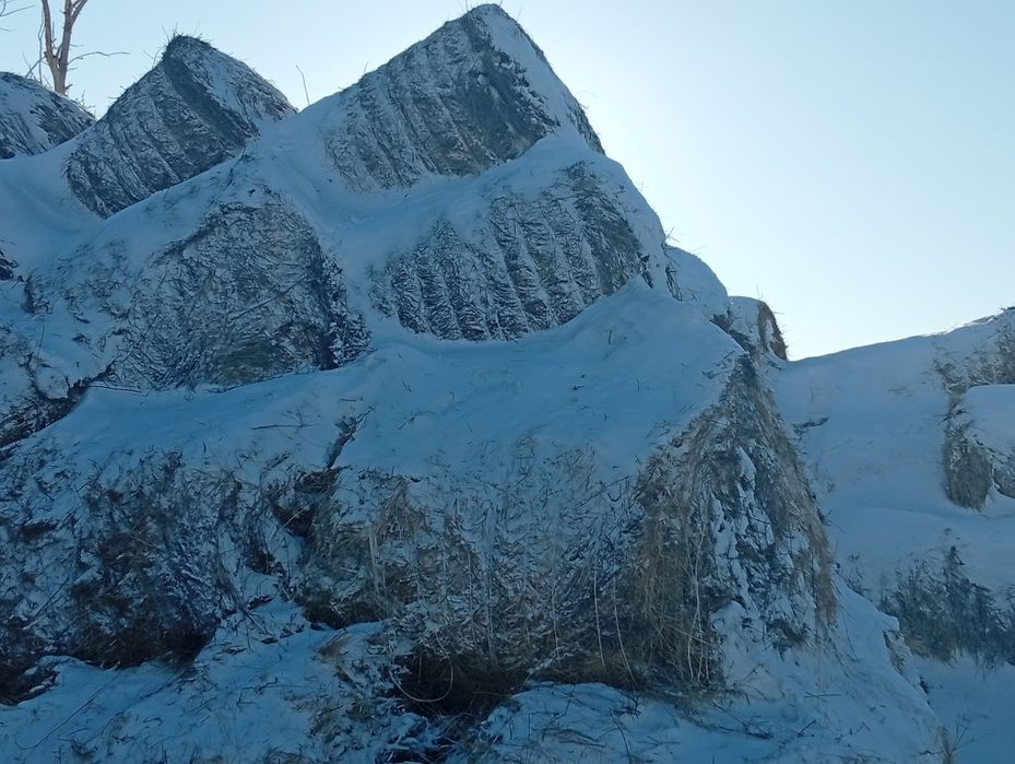 Продам сена хороший.