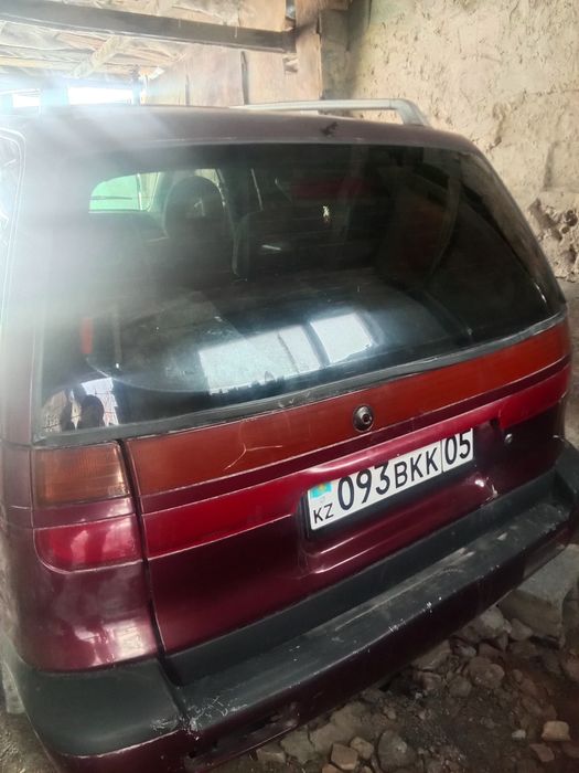 Baby tiktok for kids