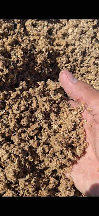 Барда Алматинский