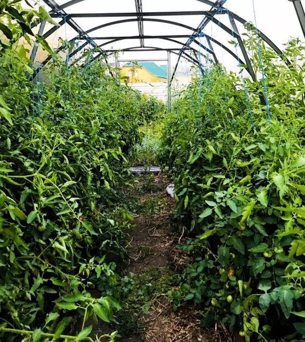 Продам дом в с. Тепличное