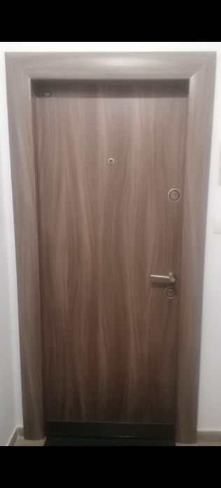 Vând usa intrare apartament preț 500 lei