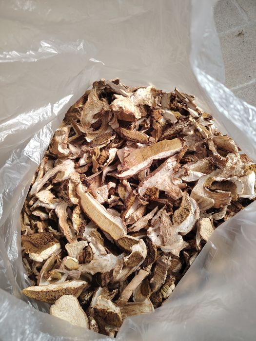 Vând hribi uscați.