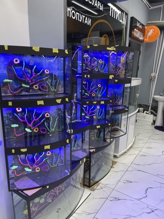 Akvarium New avalniy 20Litr