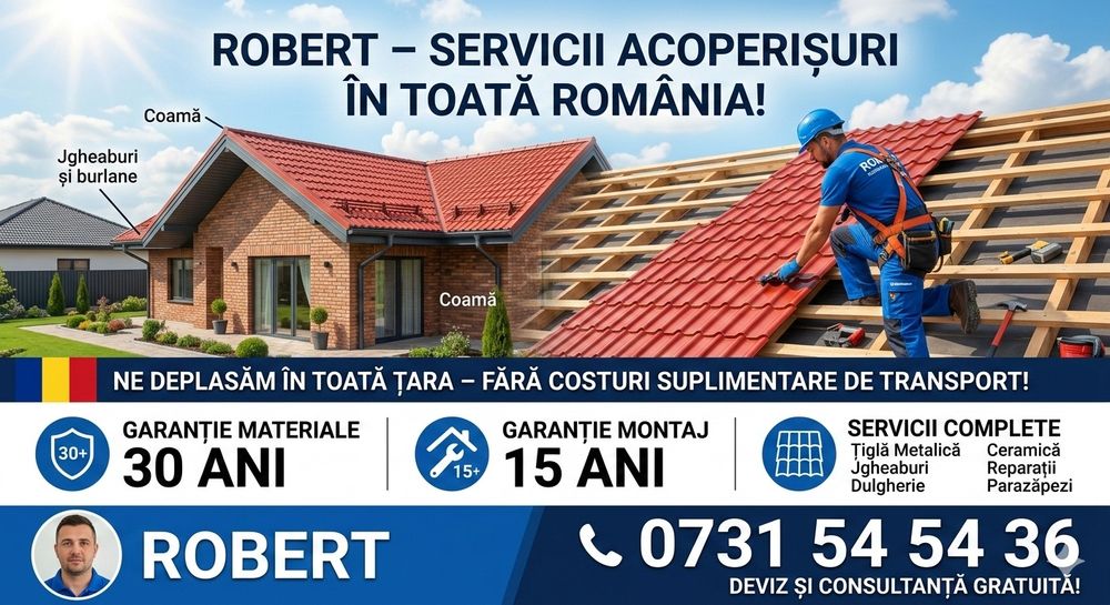 Construcții Acoperisuri Reparații