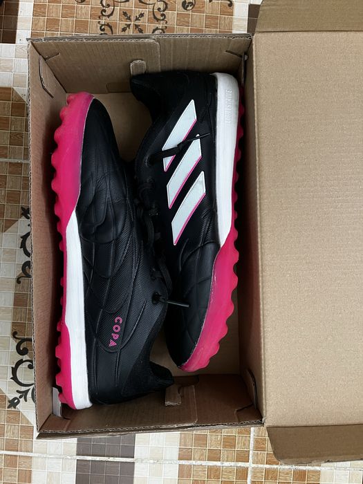 Сараканошка копа