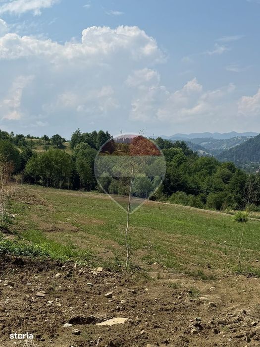 Teren 1,000mp Sohodol, cu utilitati / Strada Sohodol