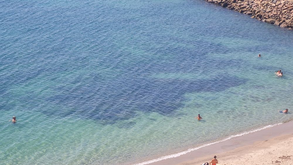 4300кв.м. море,гр.Ахелой///Продажа парцел в Ахелой