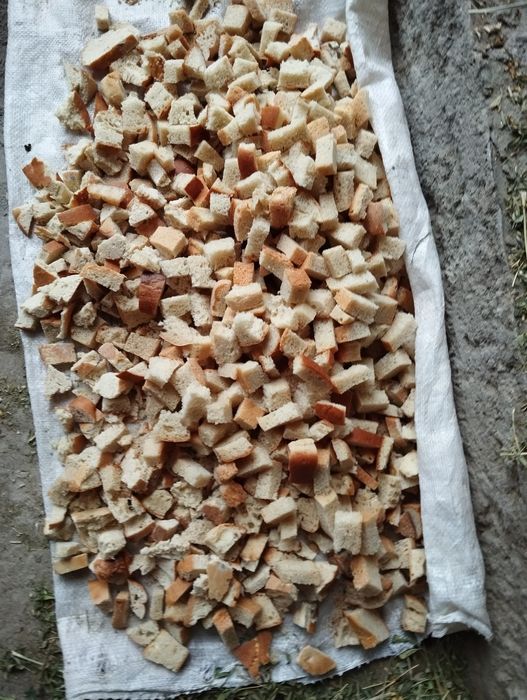 Сотилади тугралган куритилган нон