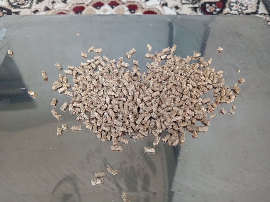 Granulyator Mustang 4Kw