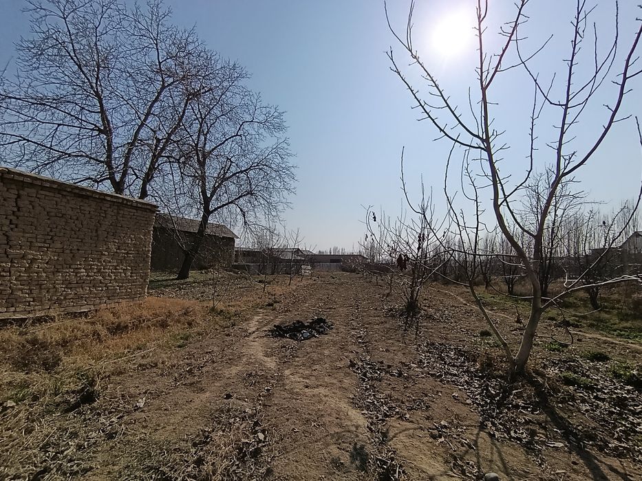 17 sotikli noturar maydon