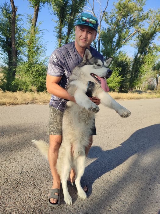 Ищем подружку для свиданий