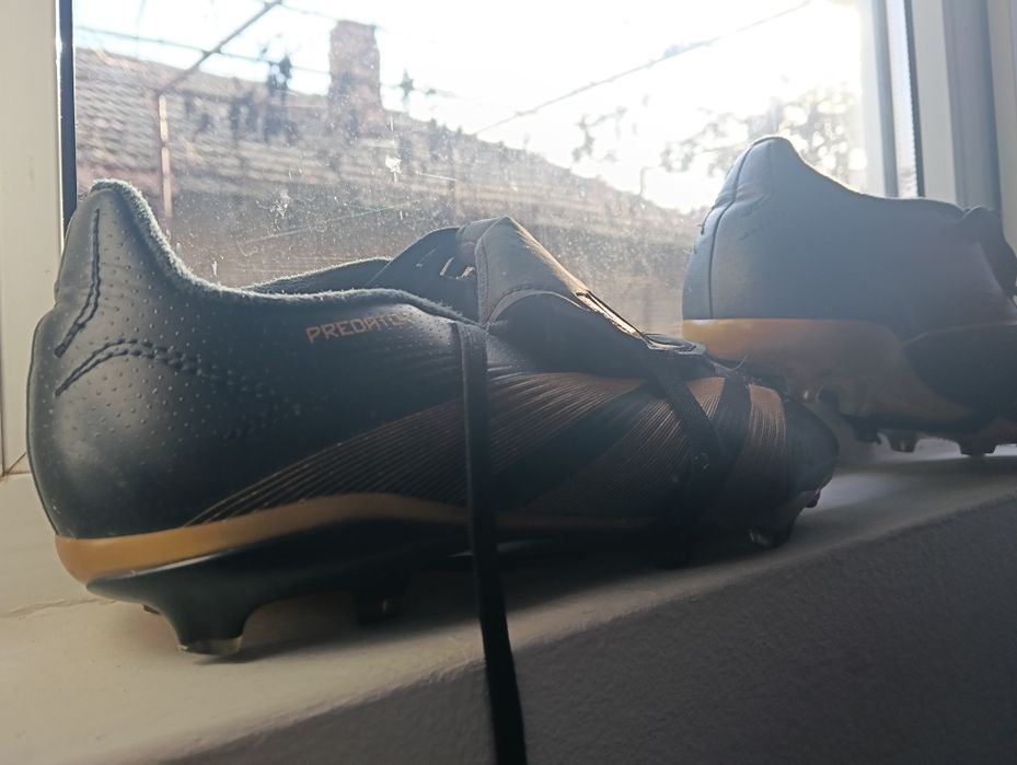 Ghete predător de buna calitate negociabil