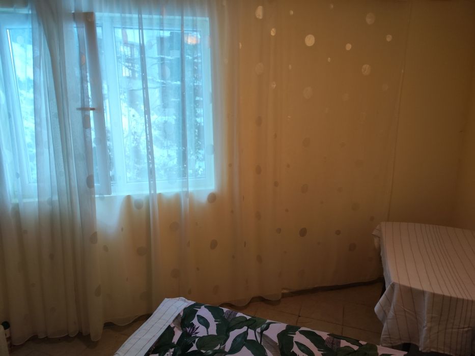 Стая под наем,самостоятелна стая