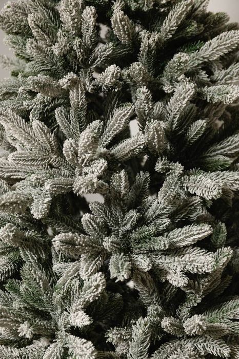 Ёлка оптом и штучно