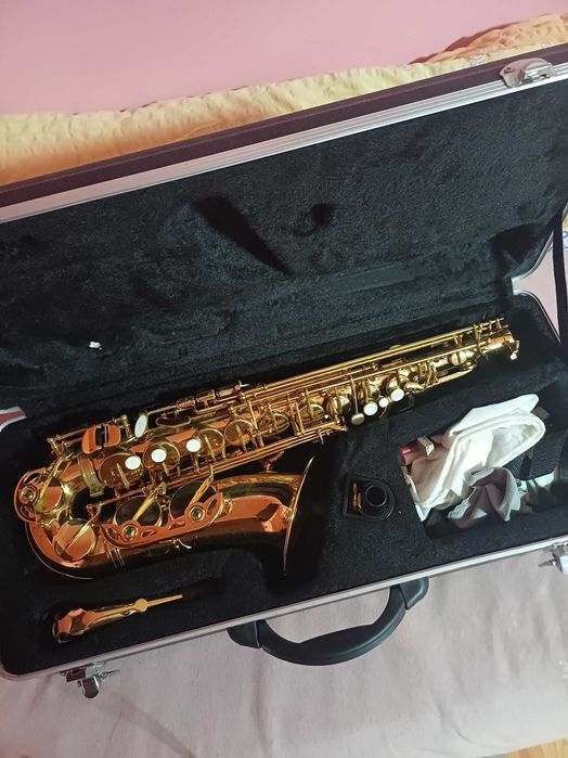 Vand saxofon alto parrot 6430L
