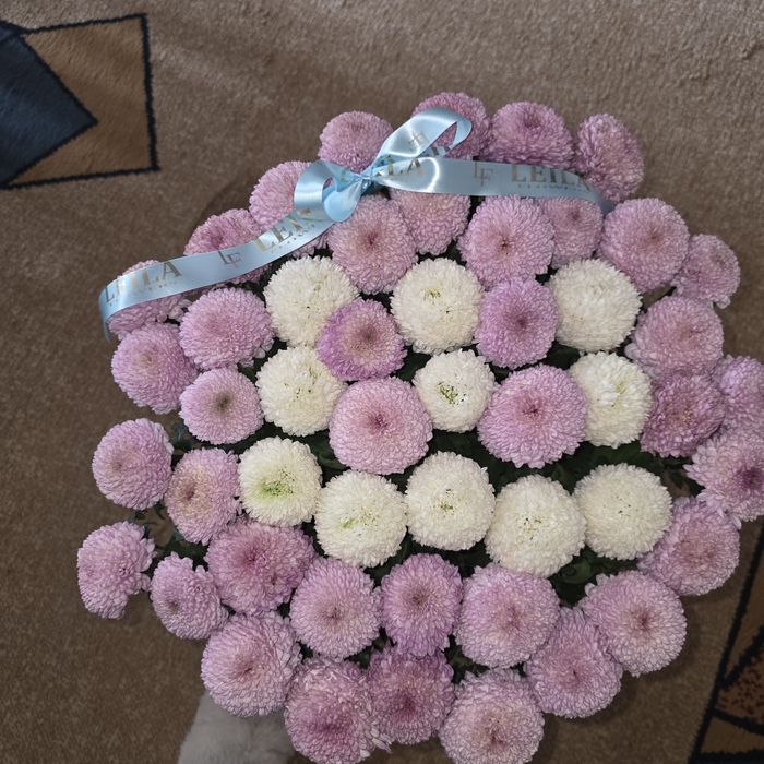 Хризантемы Момоко с буквой Ш или Е