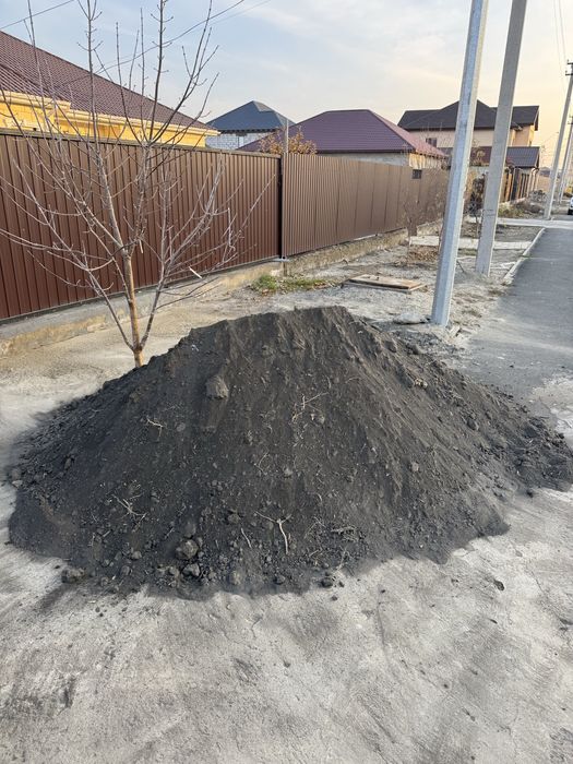 Чернозем Алмалинский