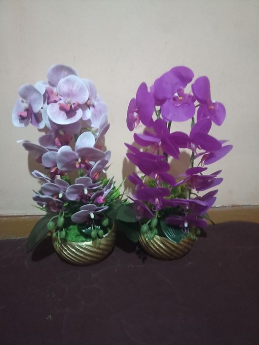 Dekorativ gullar narxlari  katta kichikligiga qarab chiqadi