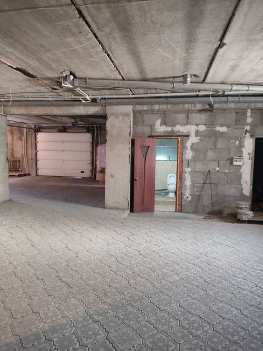 Сдам теплый подвал 300м2