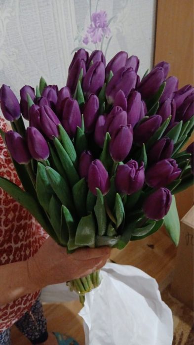 Премиум шикарные тюльпаны, 60 см, крупные!