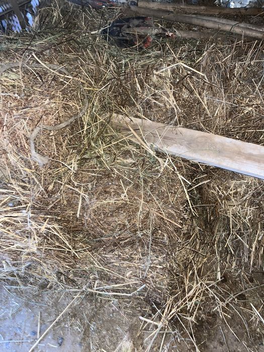 жантақ пресс бар 50 шт