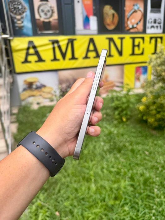 iPhone 15 Pro Max / 256GB / Natural Titanium