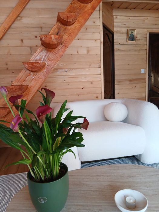 Cabana de inchiriat in Bucovina