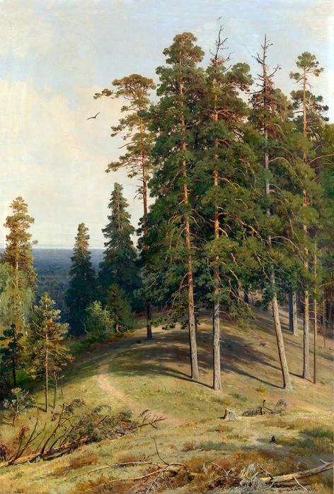 Репродукции на картини Иван Иванович Шишкин (1832 - 1898) Пейзажи