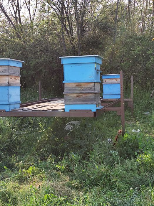 Пчеларска платформа