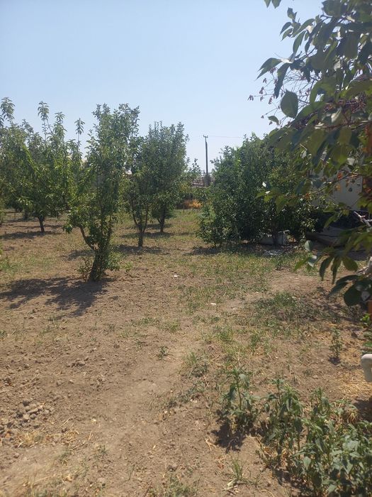 Ер  сотилади  Йик ота