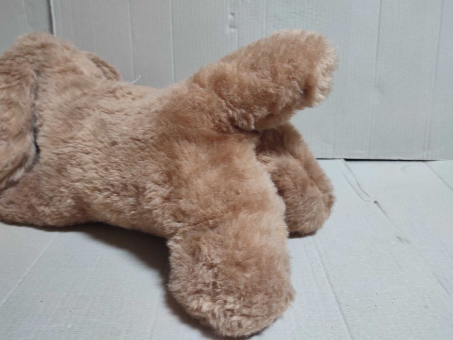 Catel din plus, culoare maro, SH dar stare buna.