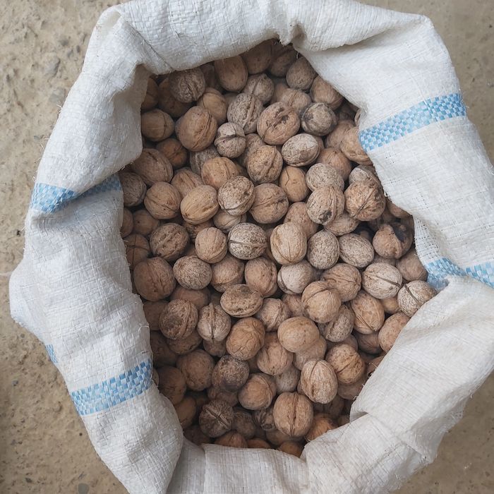 Yong'oq sotiladi 100 kg atrofida