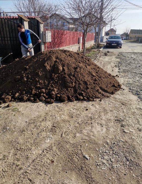 Pamant Negru Vegetal