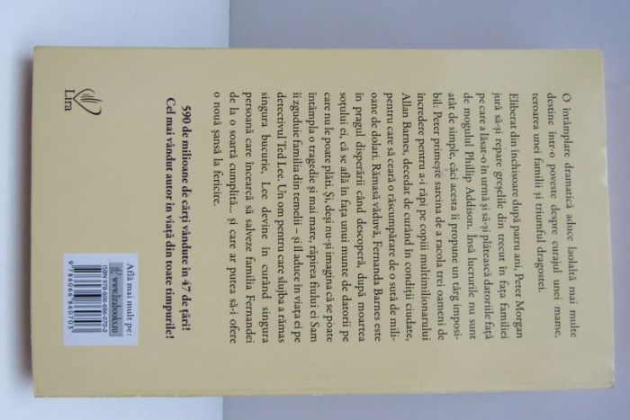 Danielle Steel - Dincolo de aparente