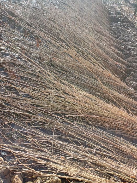 Yaxshidan bog‘ qolar yomondan dog‘