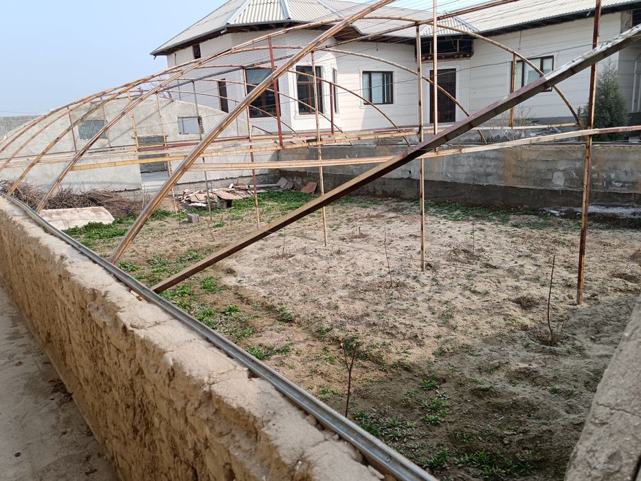 Теплица. Иссикхона.