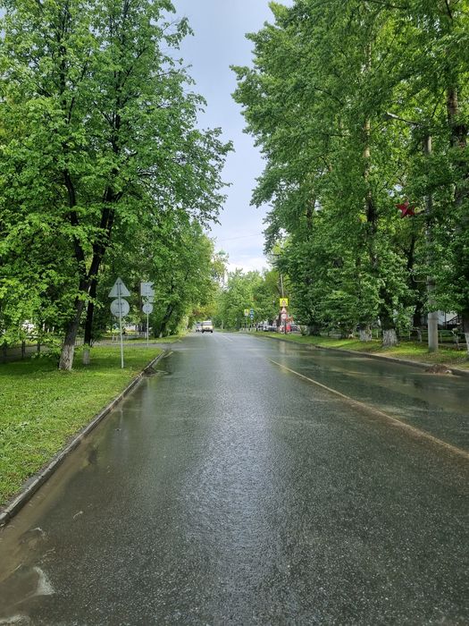 Трансфер, Встреча гостей, дальные поездки,экскурсии!