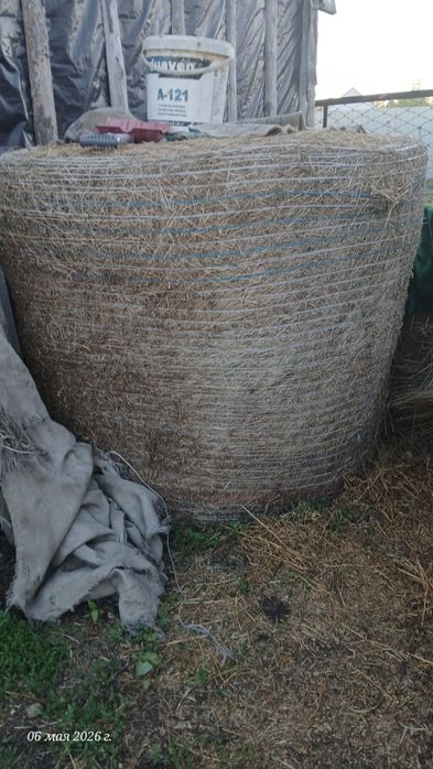 Продам сено люцерно