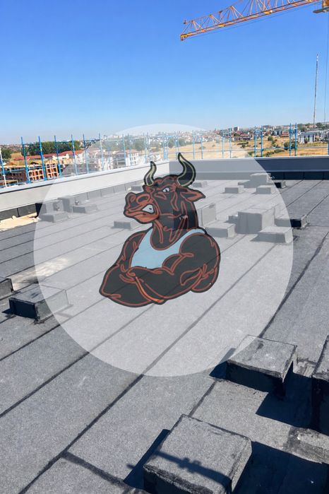 Hidroizolatii profesionale