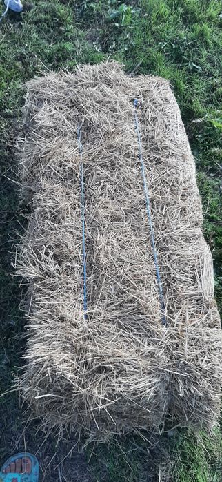 Vand baloti de fan foarte buni.