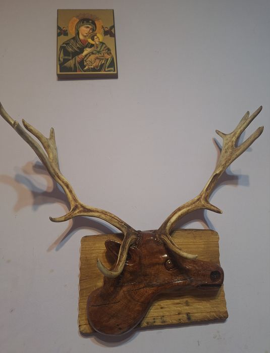 Sculptura Cerb Unicat - Sculptura manuala în stejar pe placa de frasin masiv ( coarne de 50 cm)