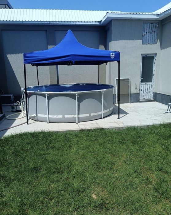 Zontik naves arginal