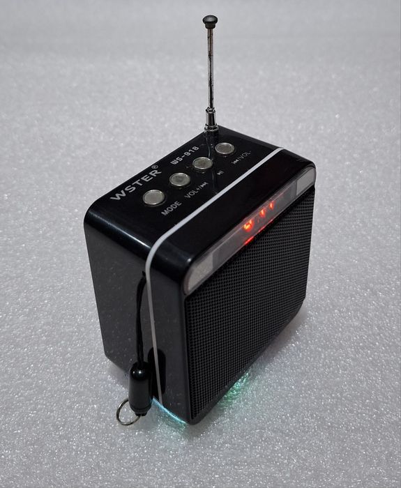 Mini boxă portabilă cu radio FM, WSTER WS-918
