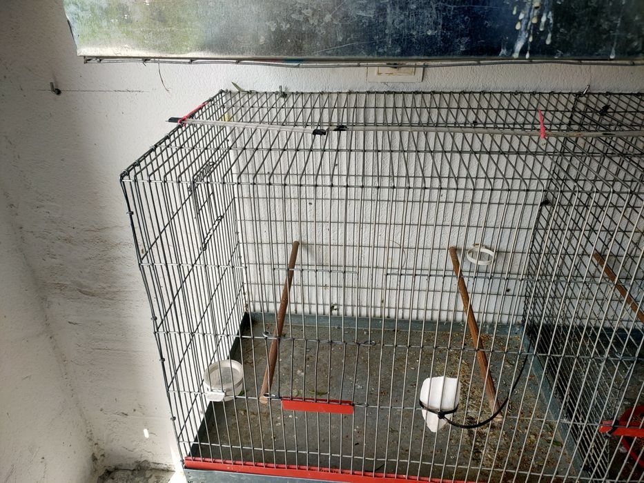 Colivie XXL 120-50-50