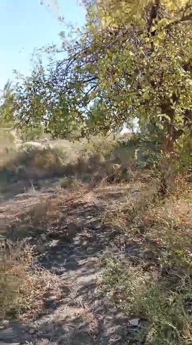 Уй жерімен сатылады